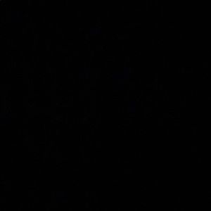 Meet your Posher, Liz